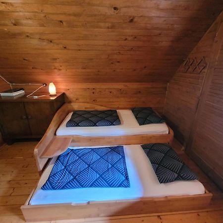 Pocitniska Hisa Radovna Villa Zgornja Radovna Luaran gambar
