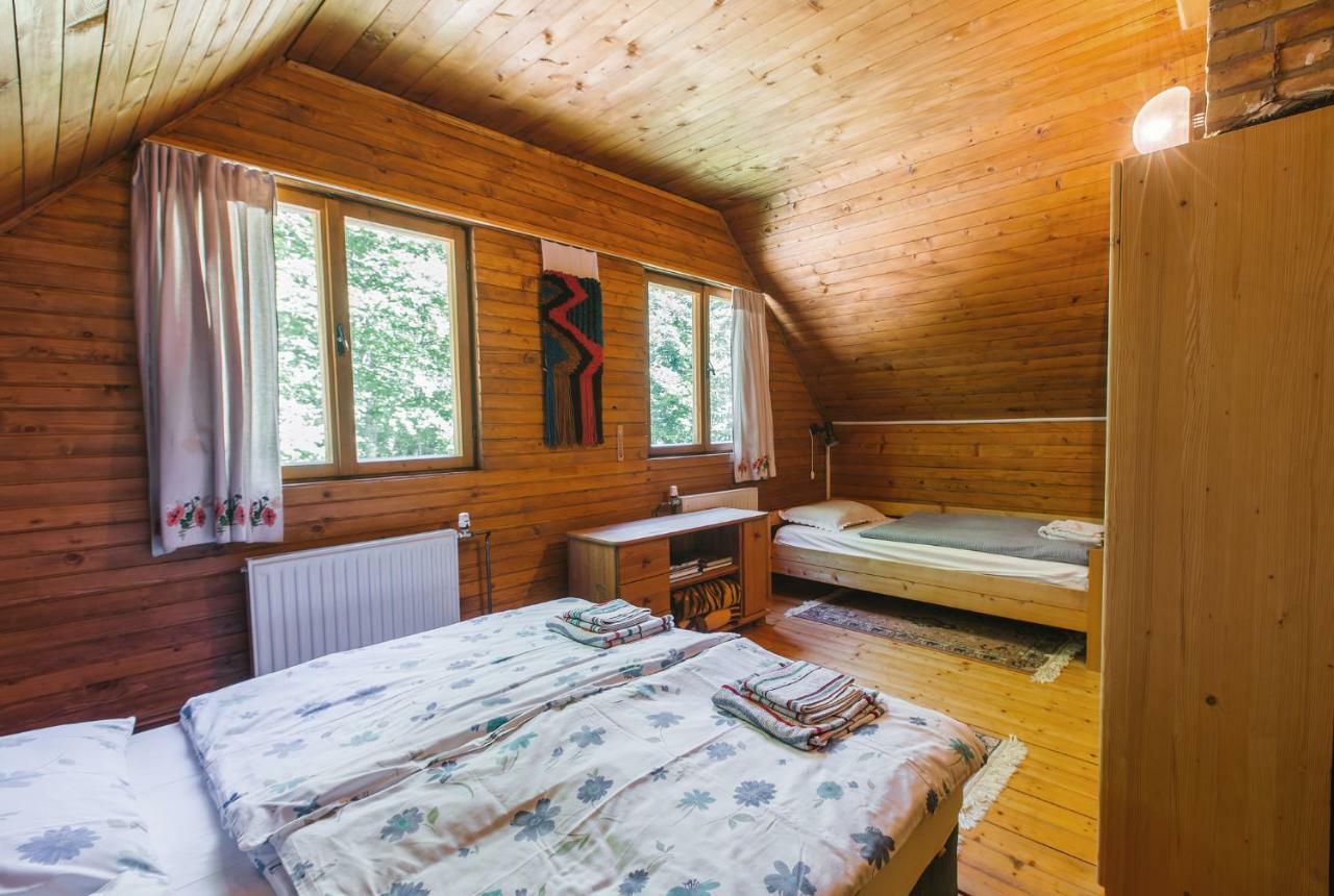 Pocitniska Hisa Radovna Villa Zgornja Radovna Luaran gambar