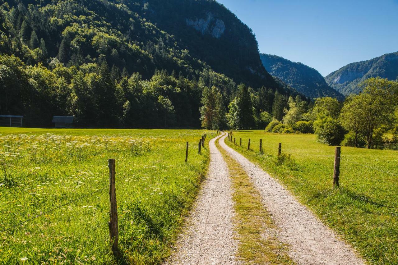 Pocitniska Hisa Radovna Villa Zgornja Radovna Luaran gambar