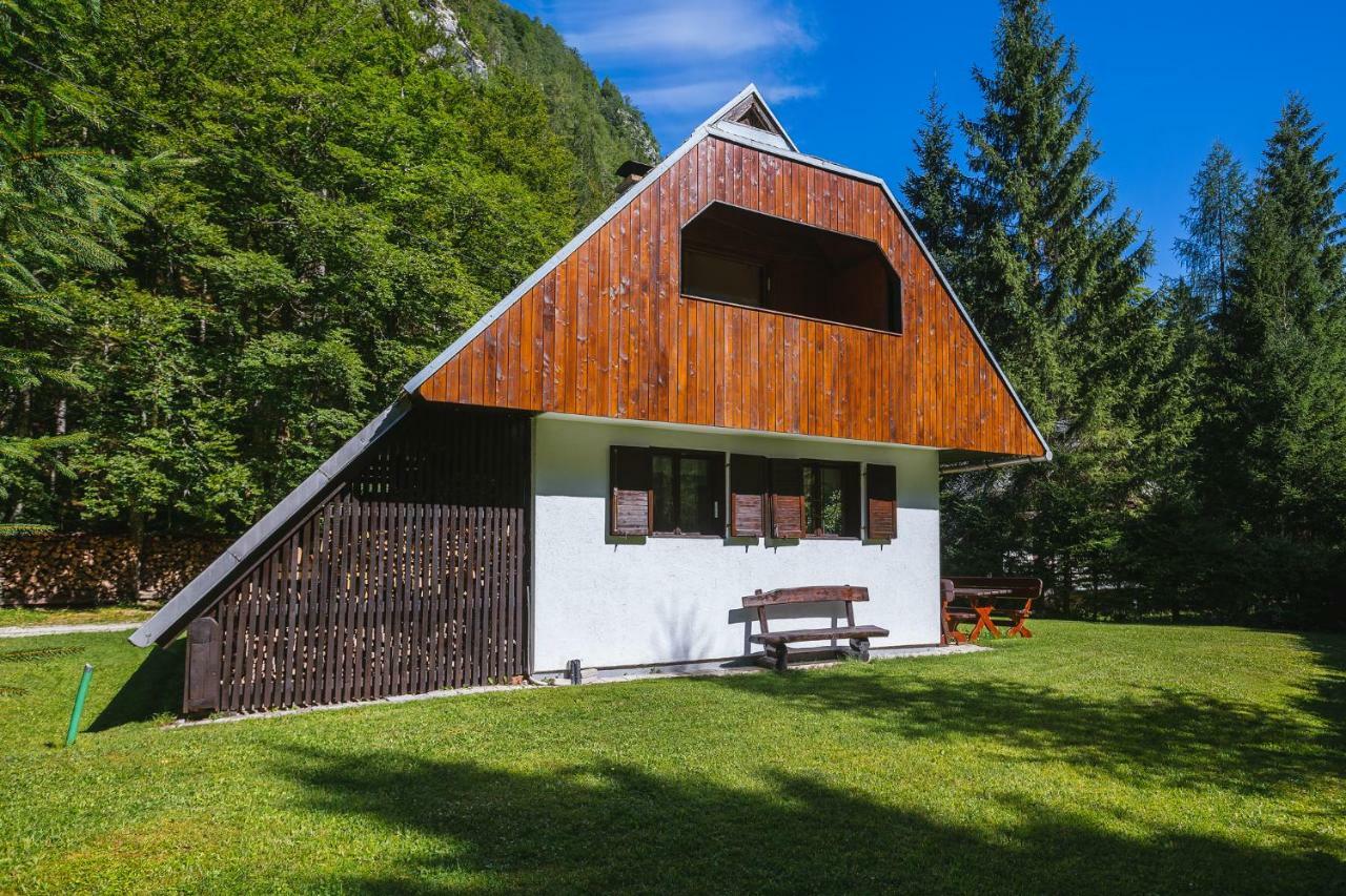 Pocitniska Hisa Radovna Villa Zgornja Radovna Luaran gambar