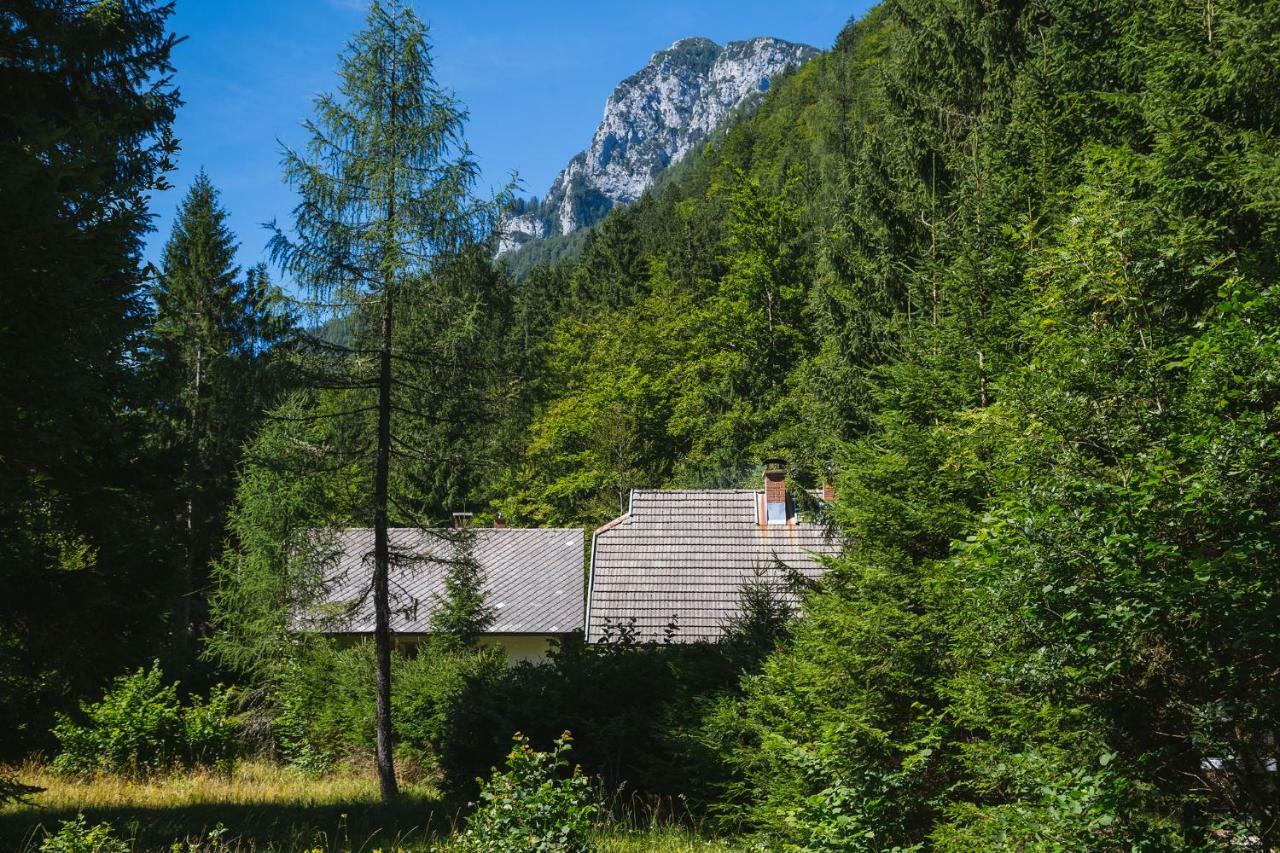 Pocitniska Hisa Radovna Villa Zgornja Radovna Luaran gambar