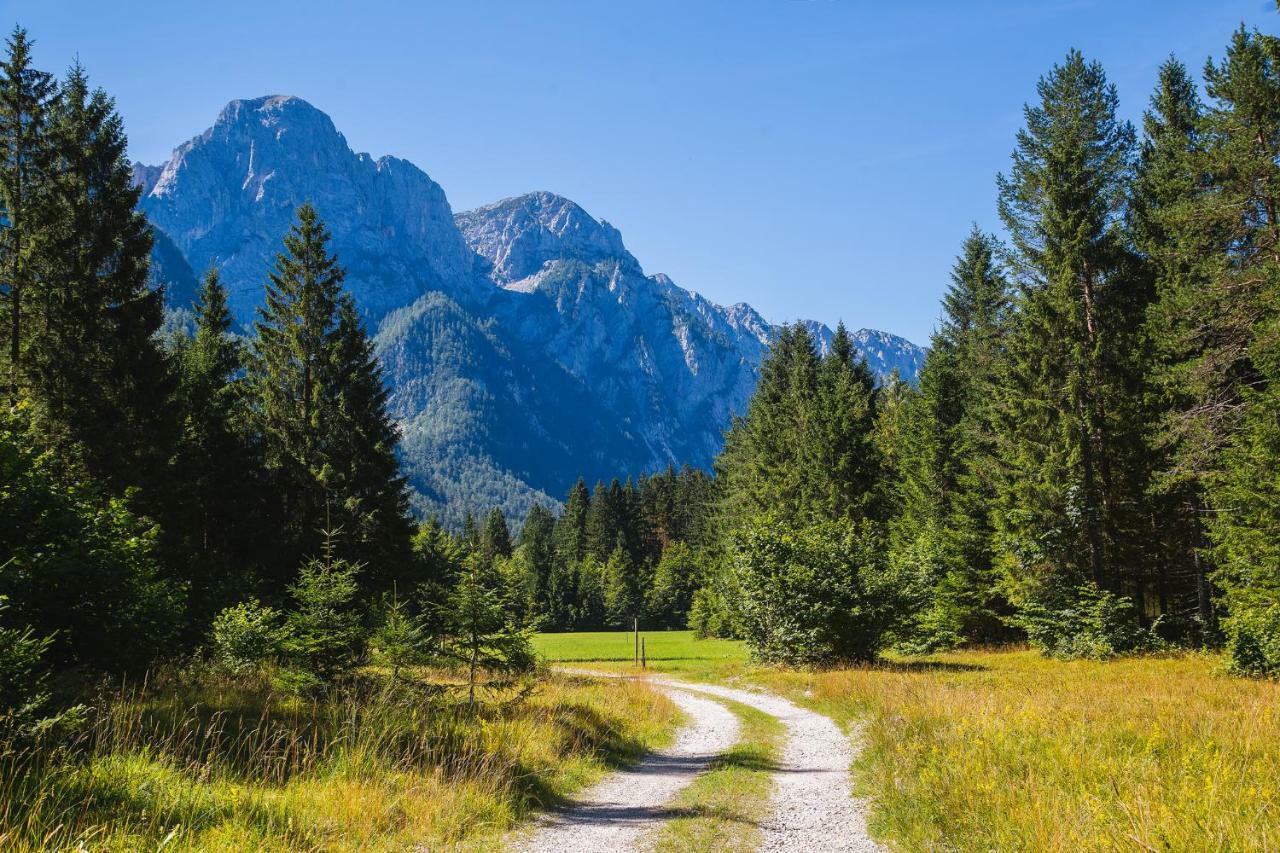 Pocitniska Hisa Radovna Villa Zgornja Radovna Luaran gambar